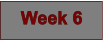Week 6